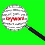 Seamless loop. Magnification glass and keywords isolated on green background. Finding keywords concept. Search engine optimization. Chroma Key