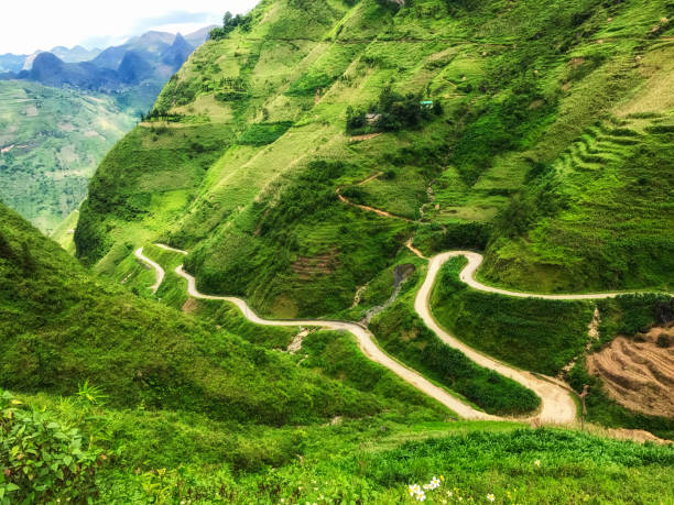 Landscape of green mountain with rice paddy and curve road in Sapa,north Vietnam.