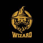 Modern wizard logo. Vector illustration